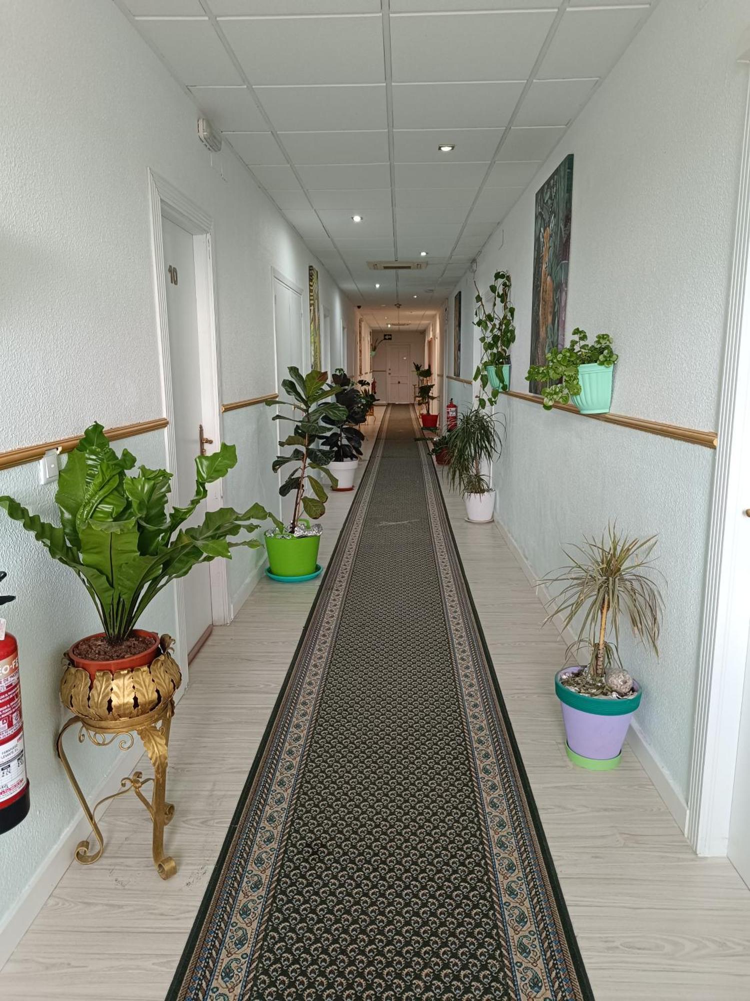 Hostal Fuente Del Pino خوميا المظهر الخارجي الصورة