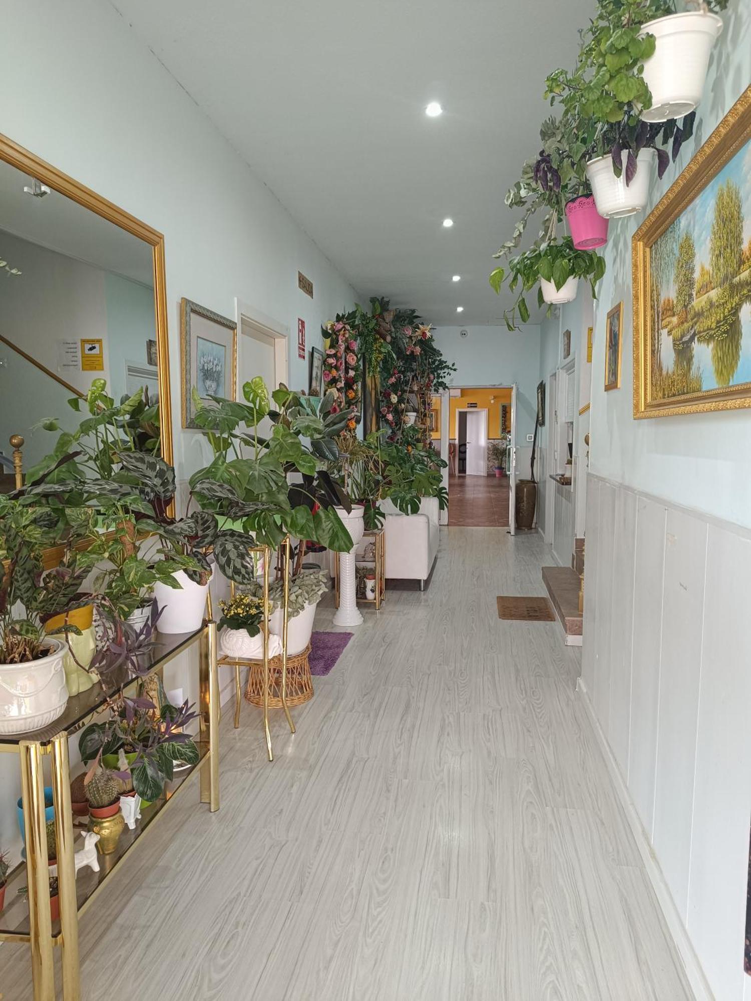 Hostal Fuente Del Pino خوميا المظهر الخارجي الصورة